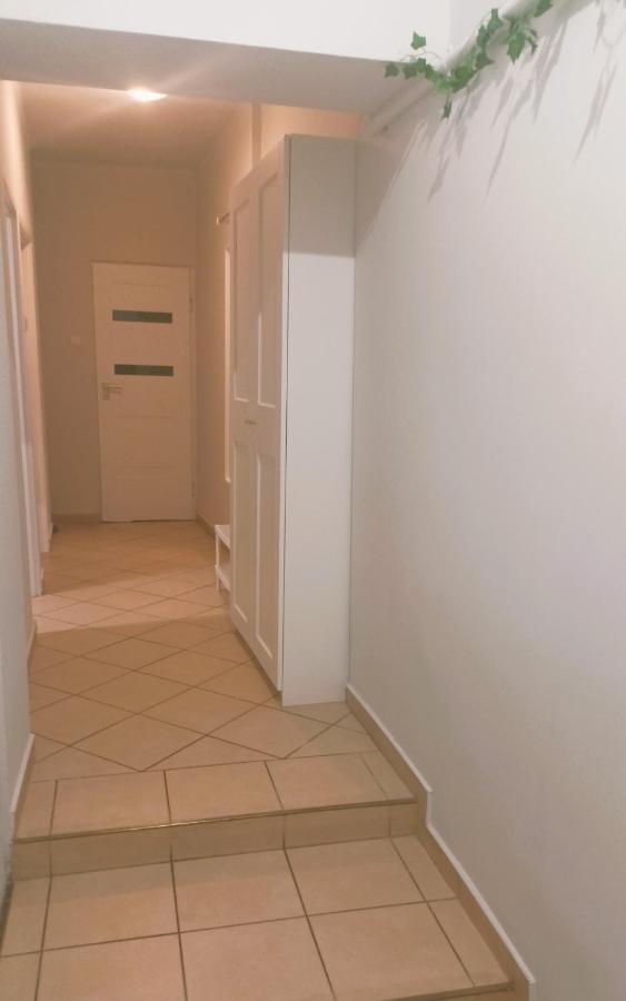 Apartament Wisniowy Krakowskie Przedmiescie 26 Люблин Экстерьер фото